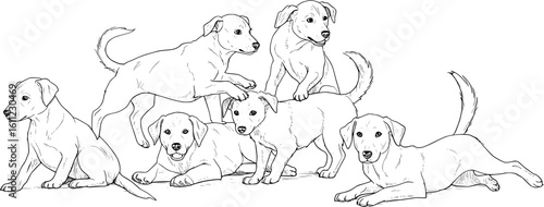 Playful puppies in black and white line art, a charming vintage style puppy pack for pet lovers designs