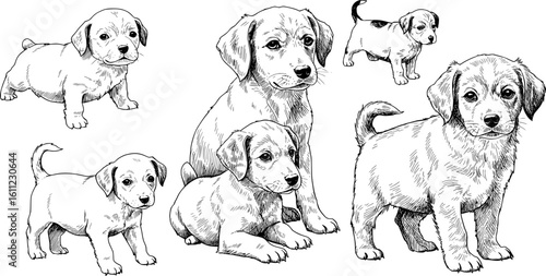 Adorable puppy collection, hand drawn style, perfect for pet lovers and charming animal designs, scalable