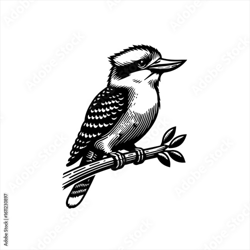 Kookaburra Bird Perched on Branch Woodcut Style 1.
