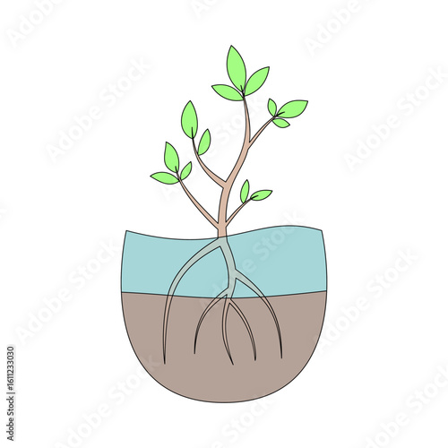 mangrove. nature theme. environmental theme. environmental issues. conservation. vector illustration