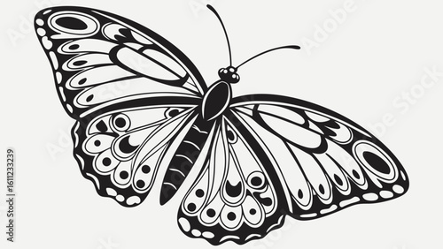 Detailed black and white butterfly illustration with intricate wing patterns and delicate antennae design vreated with genrated ai
