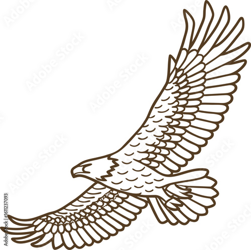 Soaring eagle wings spread wide majestic bird of prey illustration, freedom, wilderness, raptor symmetry, power