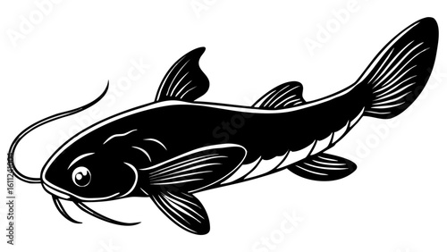 Detailed black and white illustration of a catfish