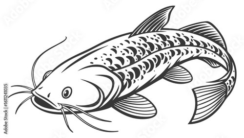 Detailed black and white illustration of a catfish