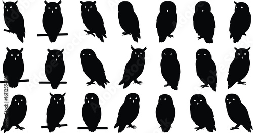 Silhouette owl icons set – perched owl vector illustrations in various poses, horned and classic owl shapes, black bird clipart