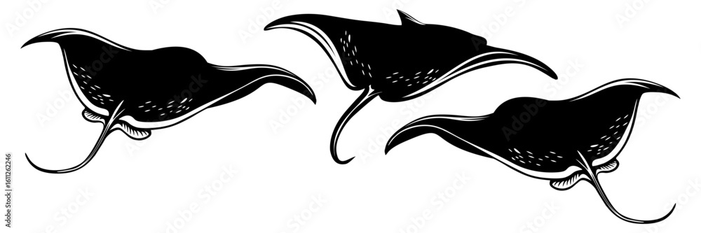 Fototapeta premium silhouette illustration of a manta ray