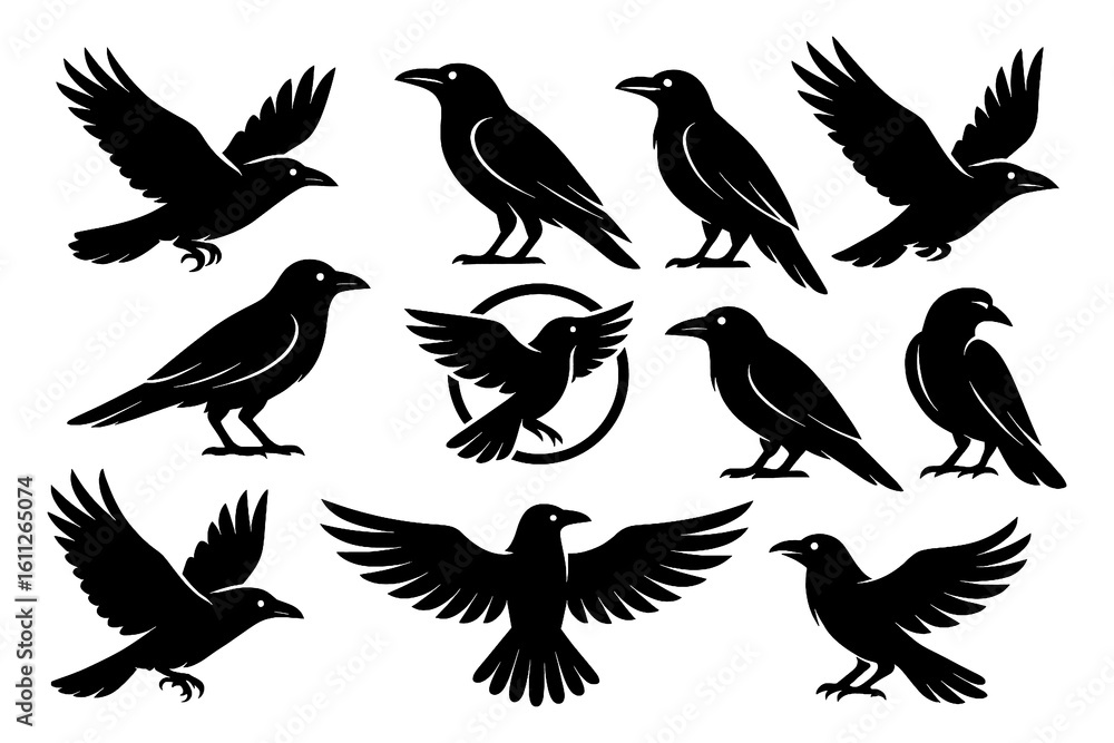 Fototapeta premium Black raven silhouettes in standing and flying positions, Transparent Background