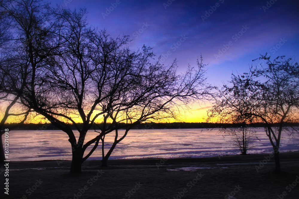 Fototapeta premium Sunrise Tree