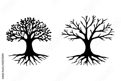 tree with root without leaves silhouette