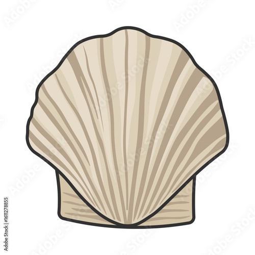 fan-shaped seashell in beige tones, without background