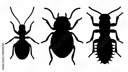 Silhouette illustration featuring an ant a beetle and a termite arranged horizontally on a white background | editable eps vectors