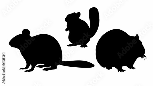 Silhouette illustration of three rodents including a chinchilla and a beaver against a white background | editable eps vectors