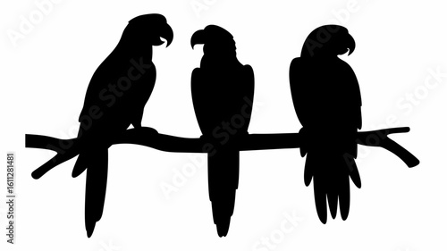 Silhouette of three parrots perched on a branch with detailed feather and beak features in black color | editable eps vectors