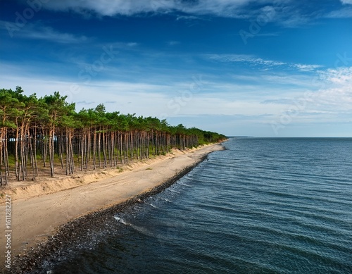 coastal forestation the coastline is frequently vulnerable to erosion and the newly planted trees are growing to safeguard the coastal line