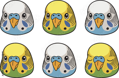 Six cute cartoon budgies with different color variations on a white background