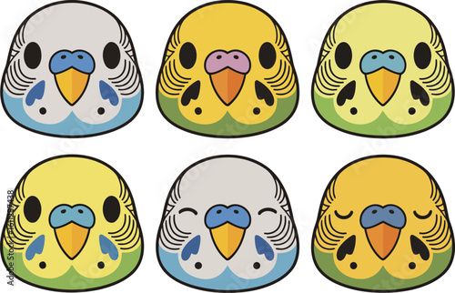 Six cute cartoon budgie bird heads in different colors and expressions