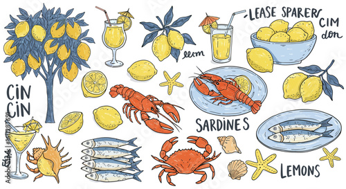 Mediterranean Summer Seafood Citrus and Cocktails Vector Illustration