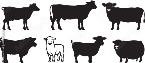 Black & White Silhouettes of Cows and Sheep Farm Animals Vector