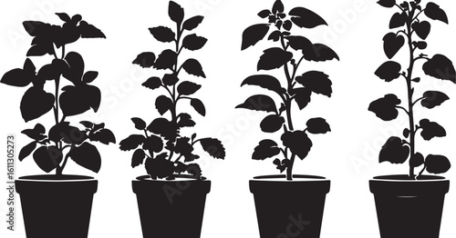 Potted Plant Silhouettes: Black and White Vector Graphics of Plants