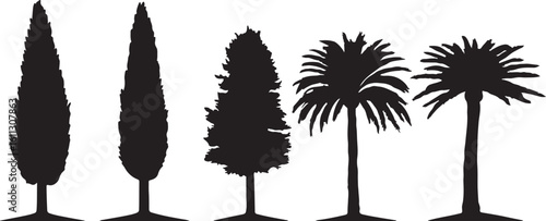 Black Silhouette of Trees, Cypress, Pine, and Palm Trees Vector