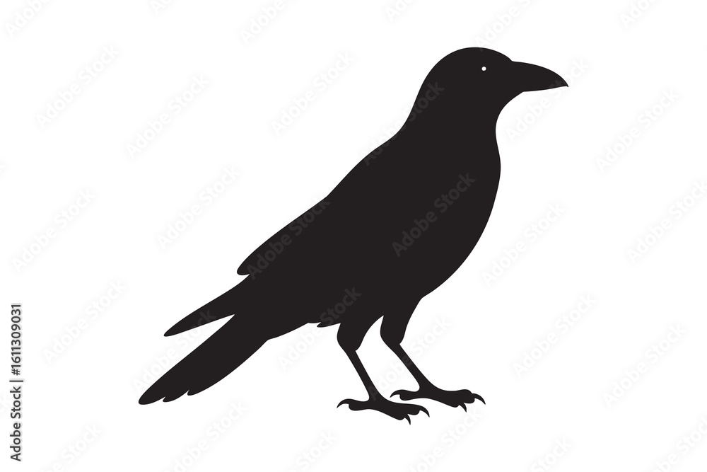 Obraz premium Black raven or crow, a solitary bird silhouette illustration, isolated on a white background