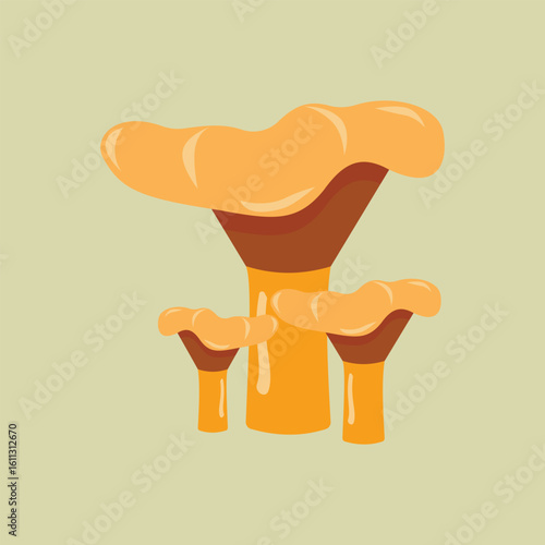 Yellow chanterelle mushrooms autumn forest vector