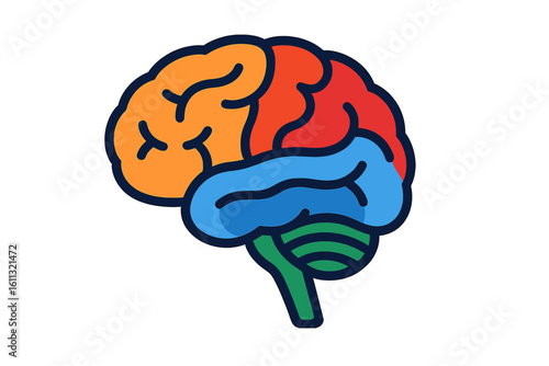 Human brain lobes vector illustration. Colorful diagram of brain areas for neurology, psychology, and science. Anatomy icon of mind, intelligence, and mental health symbol.