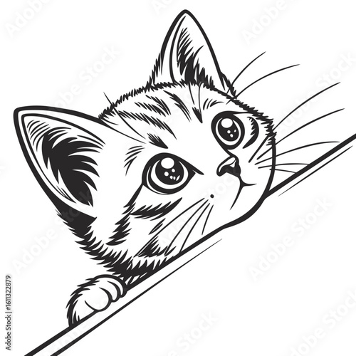 Cute kitten face drawing adorable feline pet illustration black and white vector graphic design art