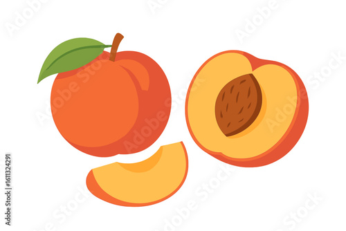Fresh ripe peach fruit illustration. Whole, half with pit, and slice. Vector graphic icon for healthy eating, summer food, juice, or jam label. Isolated design element.
