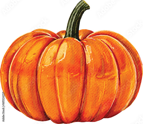 Realistic Watercolor Pumpkin Collection – Whole and Sliced Autumn Vegetable Clipart