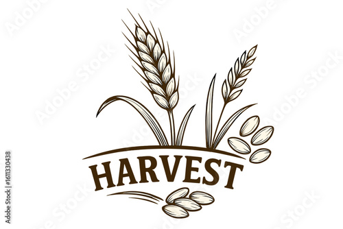 Wheat ear harvest logo with barley grains. Vintage agriculture emblem for bakery, bread, or beer branding. Organic farm food icon. Cereal stalk vector illustration.