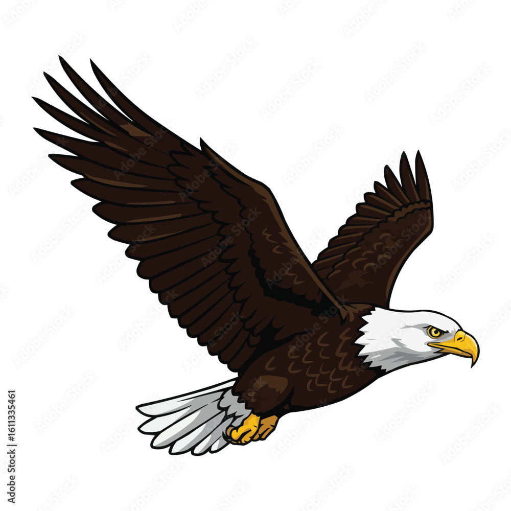 Obraz premium american bald eagle