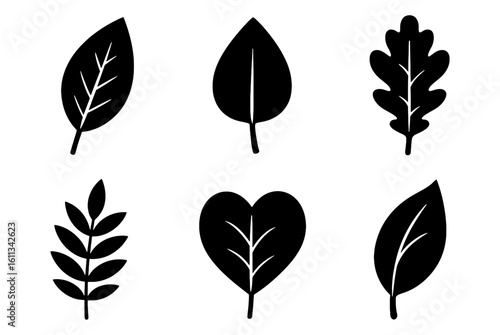 Collection of various leaf silhouettes on white