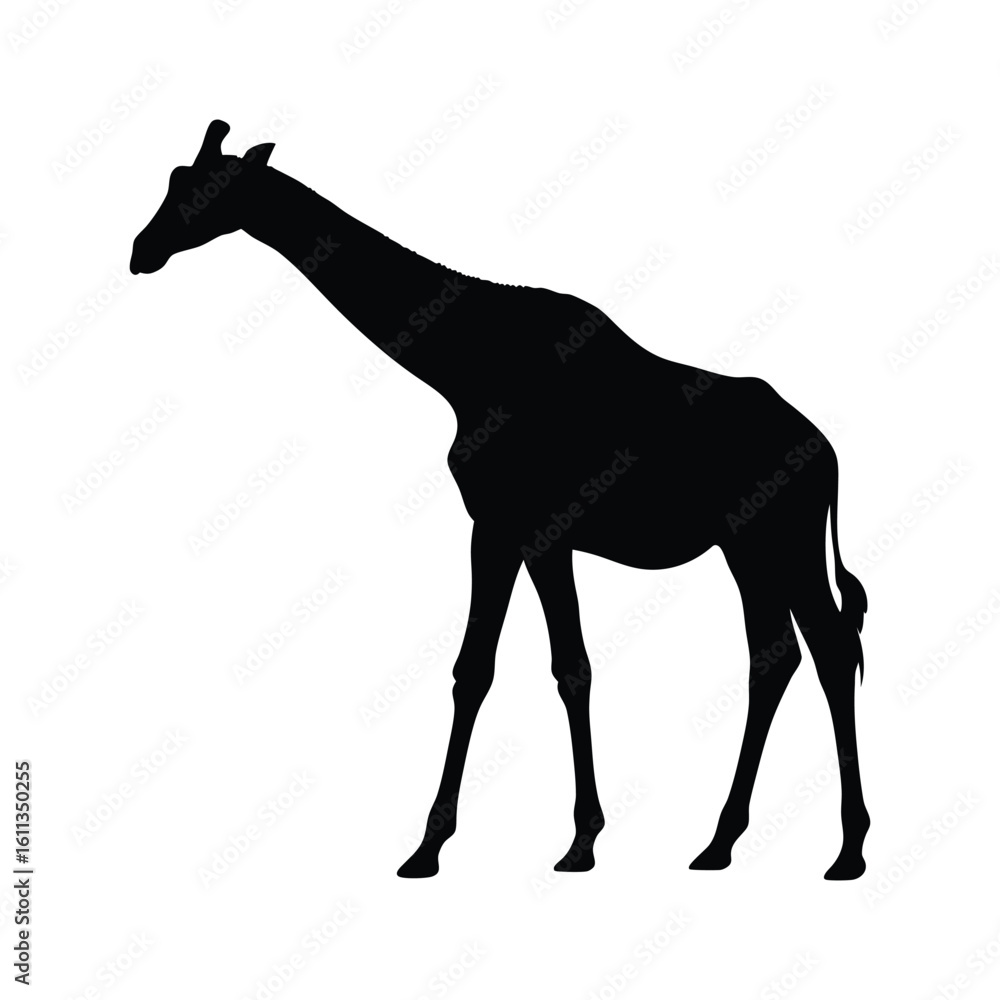 Obraz premium giraffe silhouette vector