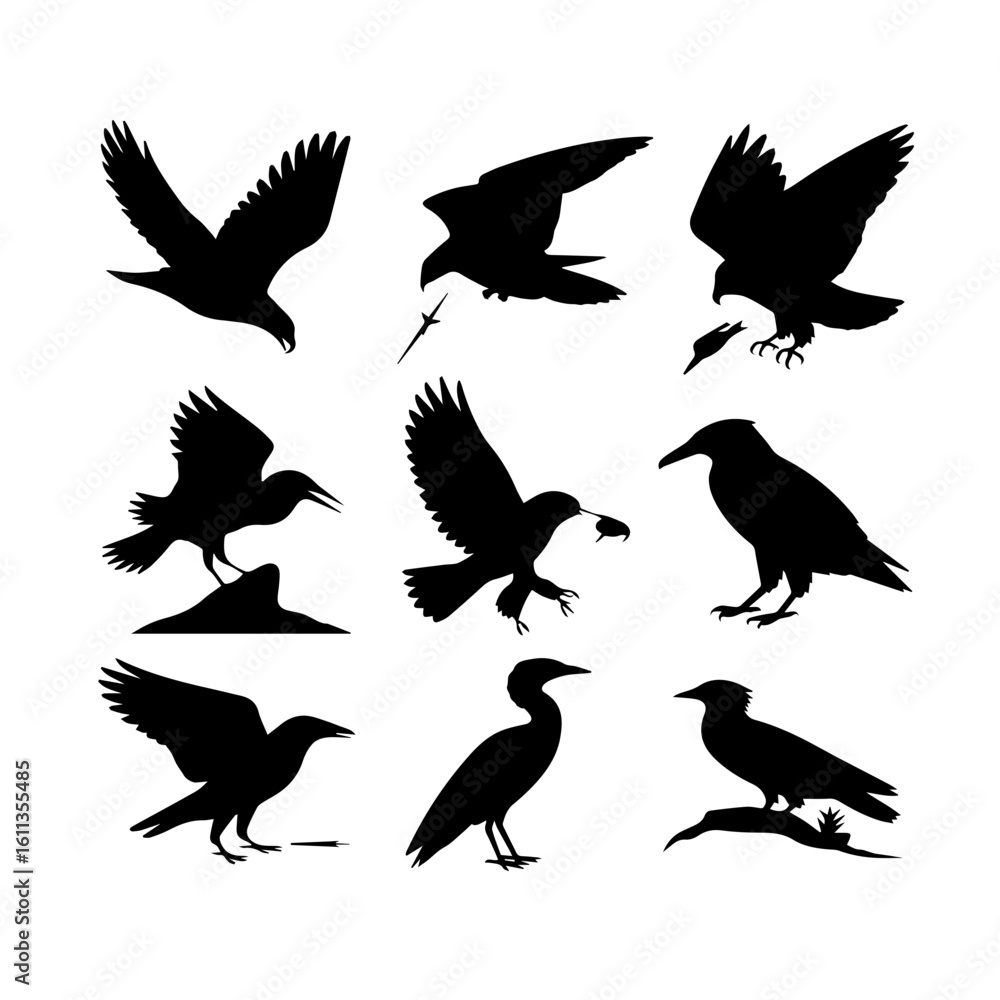 Obraz premium A black screen with no visible content