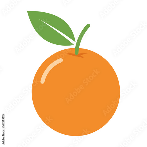 orange fruit vector illustration