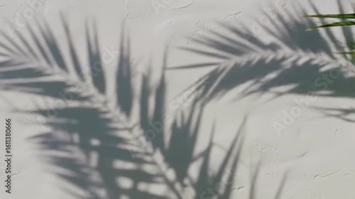 Shadows of palm fronds cascade across a textured white wall, creating a serene, summery feel