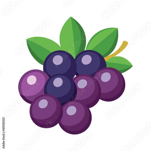 Cluster of Ripe Grapes with Leaves on White Background 