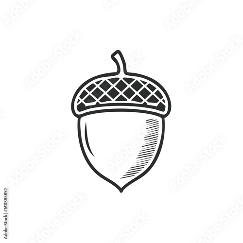Simple Acorn Illustration with Hatched Pattern Texture Isolated on White
