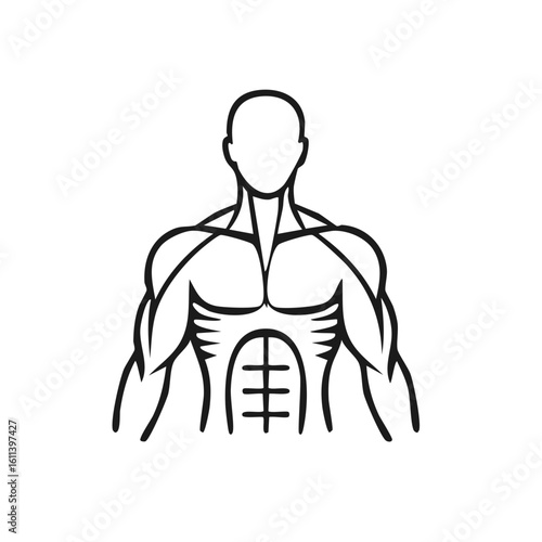 Line Art Silhouette of a Muscular Male Torso and Head with Defined Abs