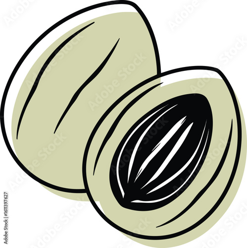 Two whole and halved nutmeg seeds with black outlines