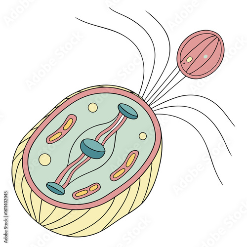 Pastel Colored Cell Illustration with Flagellum