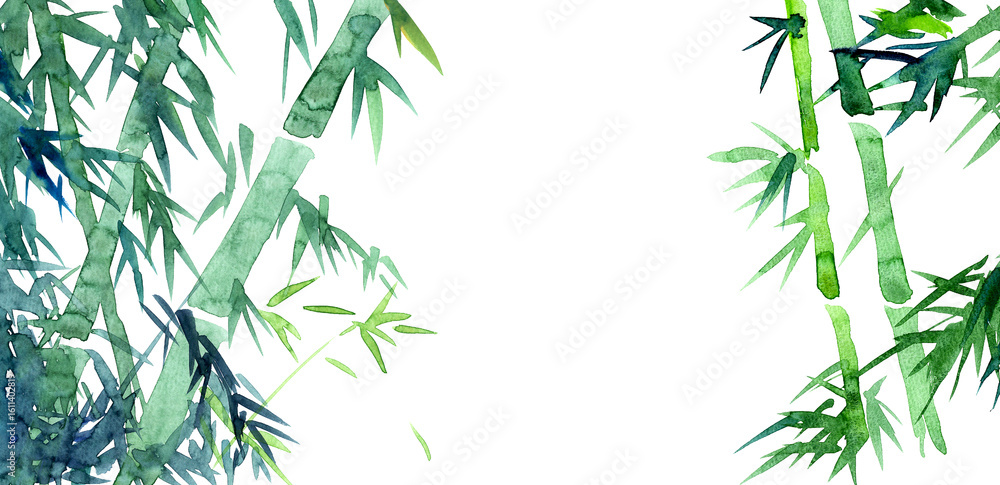 Fototapeta premium 水彩の手描き素材。滲みが美しい竹の背景素材