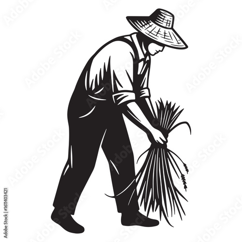 Farmer carrying a sheaf of wheat a black and white illustration of harvesting work