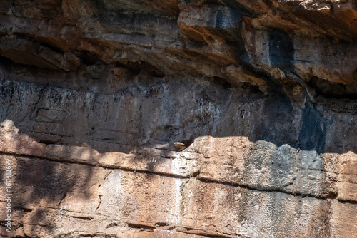 kestrel hunting against the sky on a sunny summer day on the island of Crete