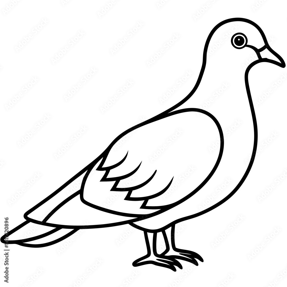 Fototapeta premium Dove line art vector