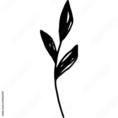 Minimalist hand-drawn plant branch with leaves. Simple black silhouette sprig illustration isolated on white.