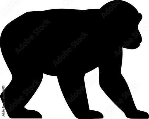 Gorilla silhouette powerful primate walking