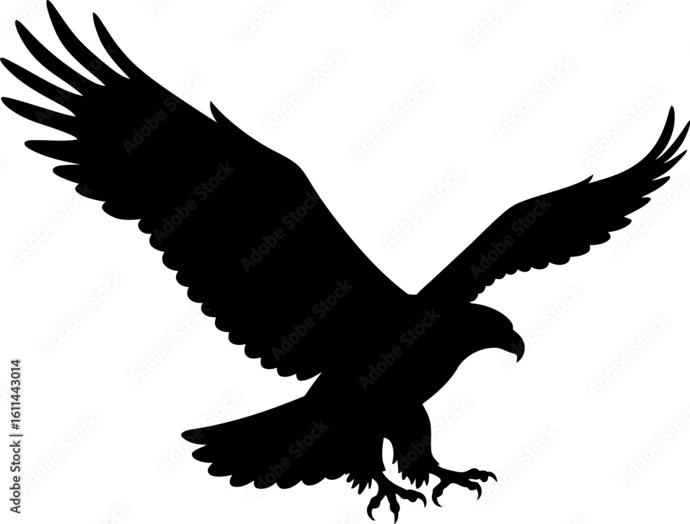 Obraz premium Silhouette eagle flying landing isolated white background