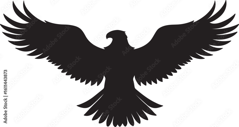 Obraz premium eagle with wings